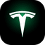 Tesla Energy icon