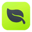 Mint icon